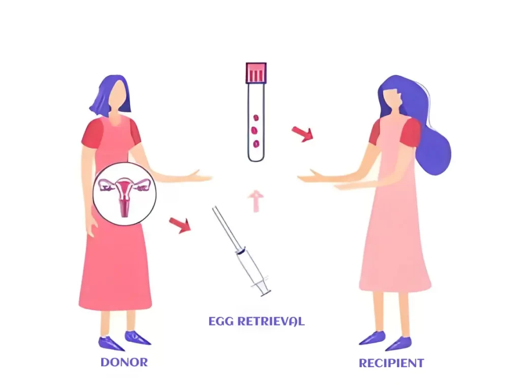 Donor Egg in Delhi