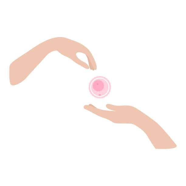 Egg Donor Qualifications