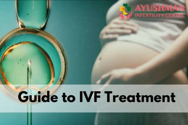 The Journey to Parenthood: A Guide to IVF Treatment